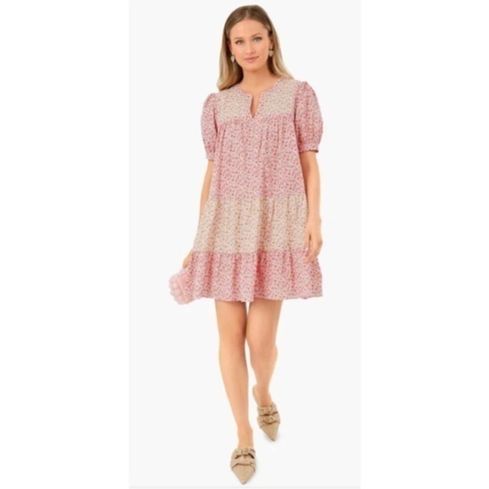 TUCKERNUCK HYACINTH HOUSE Multi Pink Floral Hana Mini Dress Size Small
